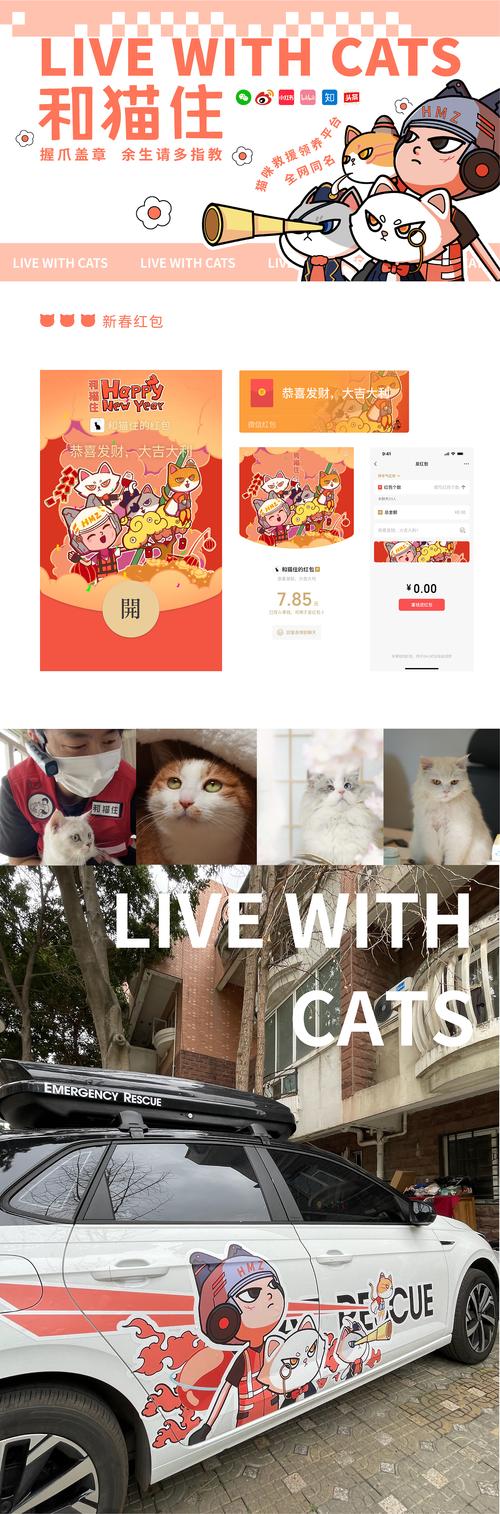 猫咪救援队红包版缩略图