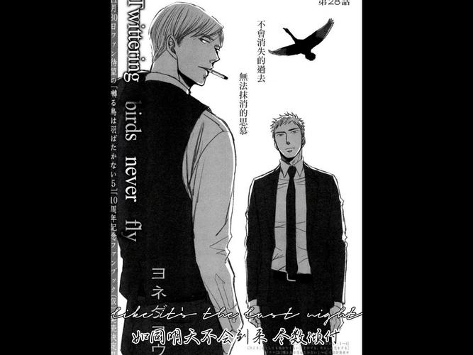 鸣鸟不飞漫画