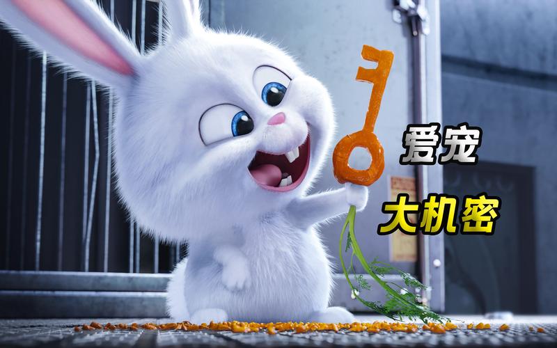 大白兔画质