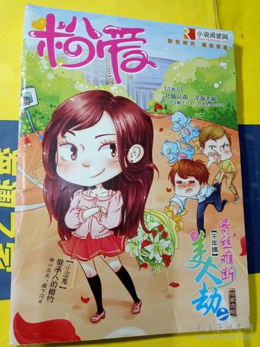 粉愛小說游戏截图