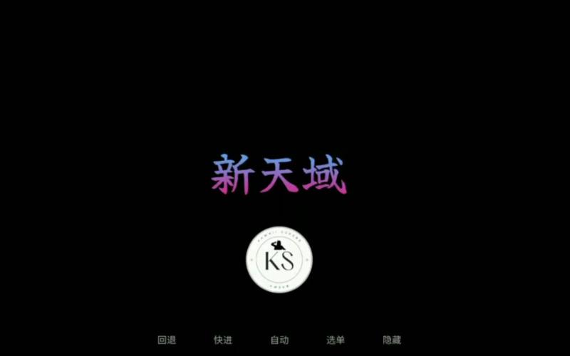 新天域安卓汉化版无广告安装绿色版游戏截图