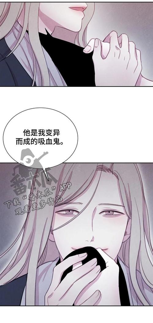 与血族共生免费漫画