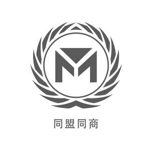 同盟兼职换源版游戏截图