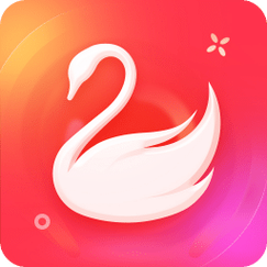 天鹅网app（转发文章赚钱）游戏截图