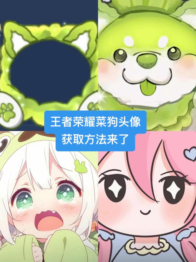 狗子助手王者荣耀游戏截图