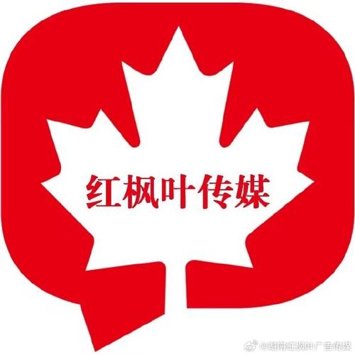 枫叶辅助2024年最新消息红色版游戏截图