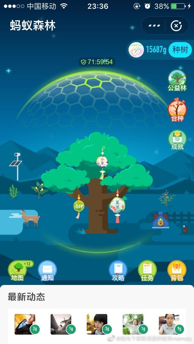 蚂蚁森林无限保护罩游戏截图