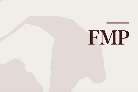 FMP助手(FMP Helper)游戏截图