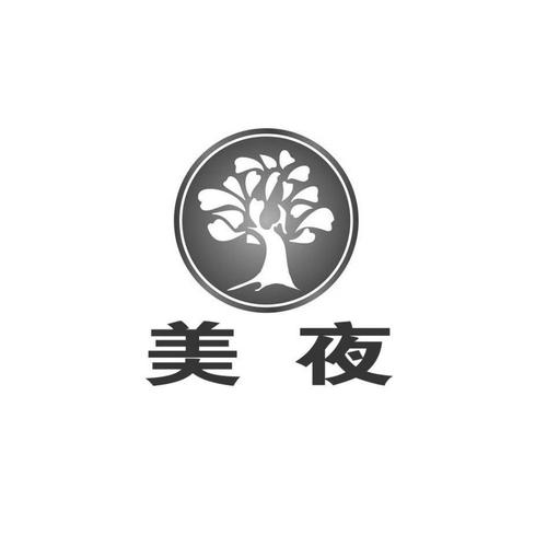 美夜游戏截图
