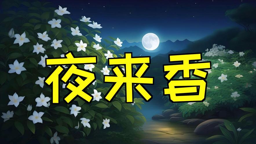 夜来香交友聊天游戏截图
