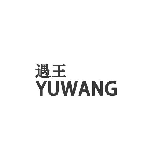 王遇王游戏截图