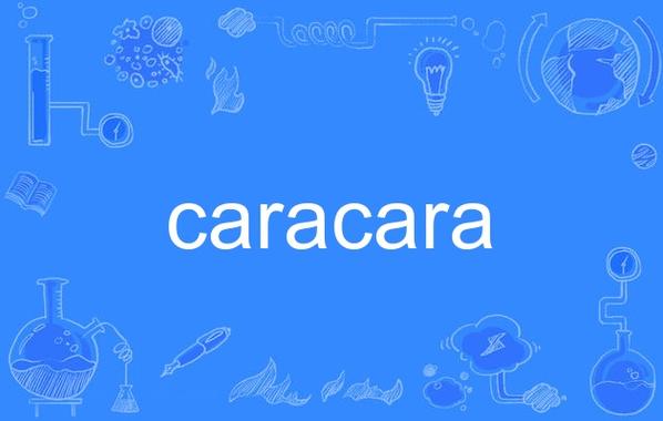 CARATS官方APP游戏截图