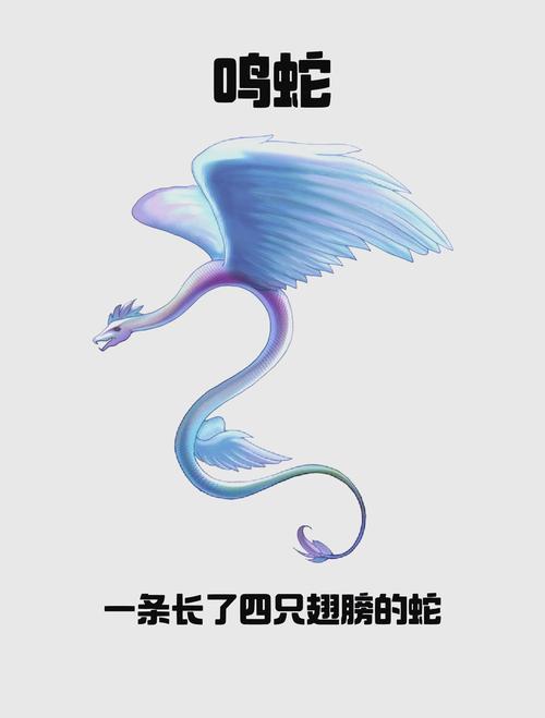 鸣蛇电竞APP