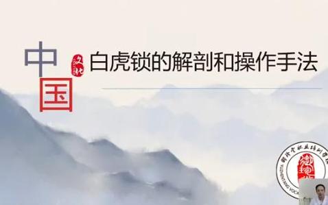 白虎API单锁辅助游戏截图