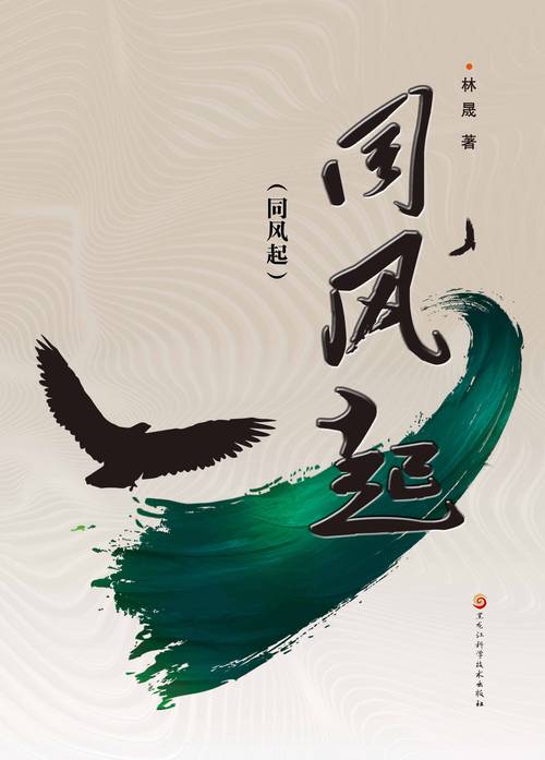 风起中文网图标