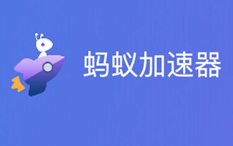 蚂蚁加速器无限流量版