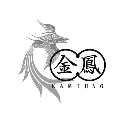 金凤网