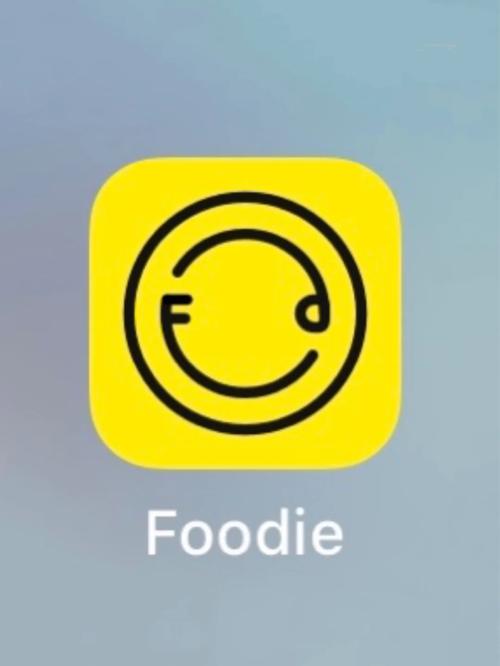 Foodie漫画滤镜相机游戏截图