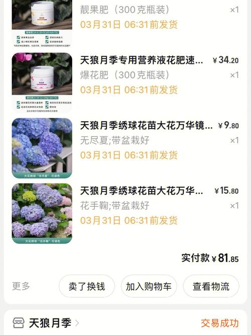 绣球阅读网