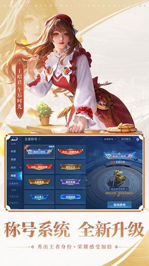 王者单机全皮肤无限流量游戏截图