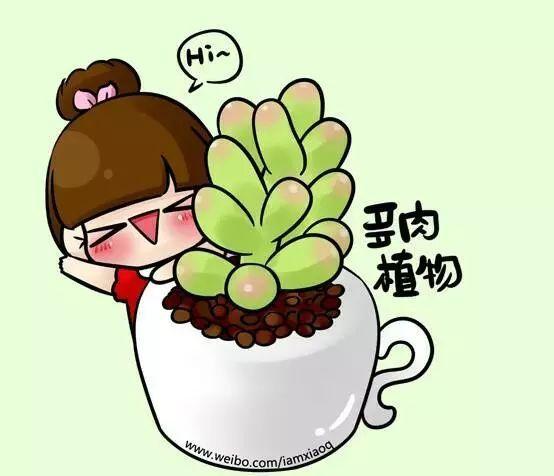 多肉漫画app游戏截图