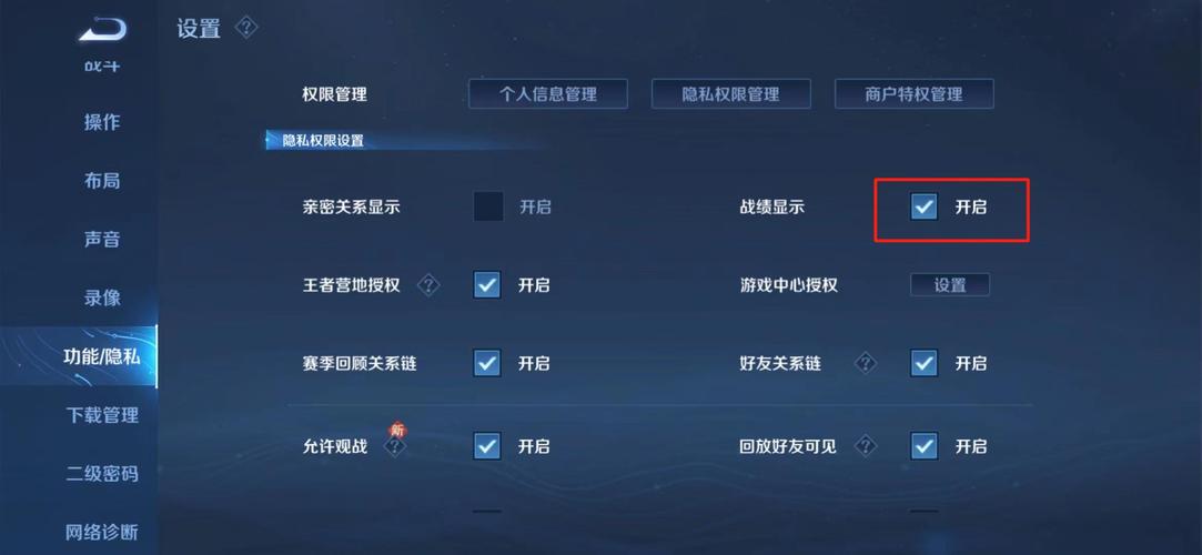 王者荣耀隐藏战绩破解工具下载游戏截图