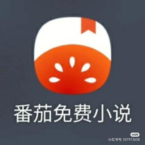 柚子阅读纯净版