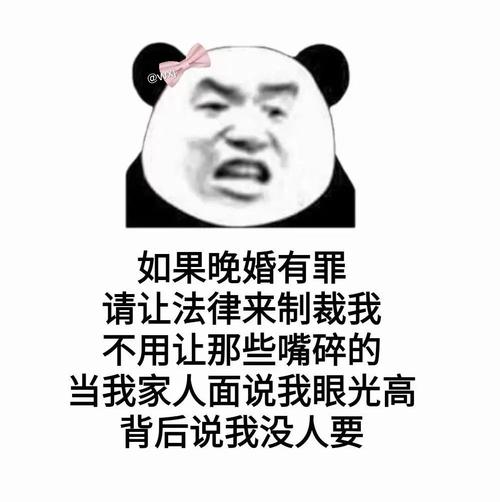 如果晚婚有罪请让法律来制裁我表情包游戏截图