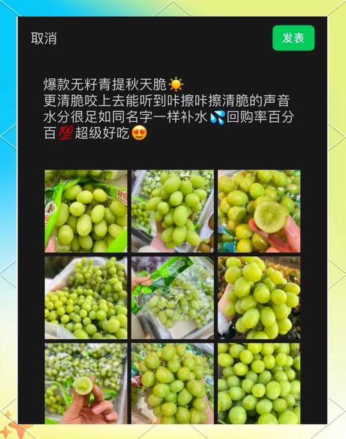 青提影视