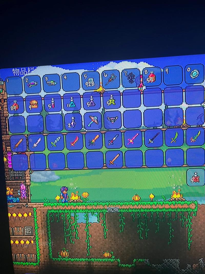 泰拉瑞亚内置PlayMOD菜单手机版游戏截图