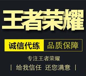 王者荣耀代练上号器游戏截图