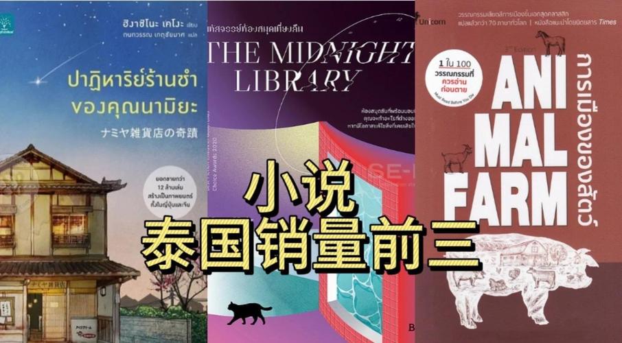 泰国小说最新版游戏截图