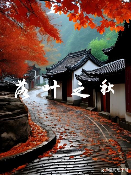 落秋中文网手机版