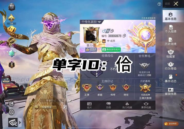 和平精英单字id生成器2023特征缩略图
