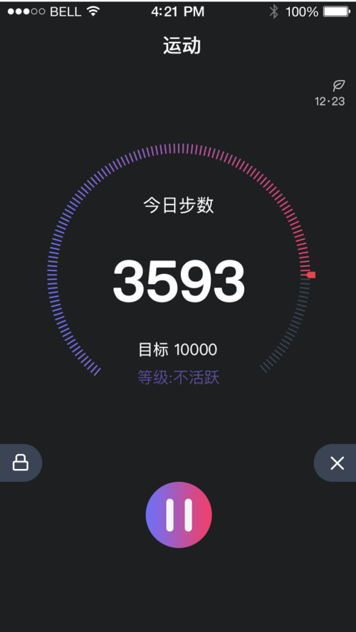 步数天天打卡