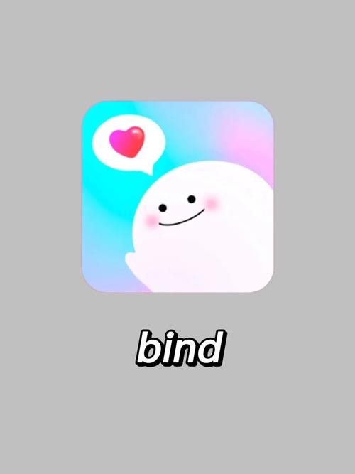 BIND软件免费版