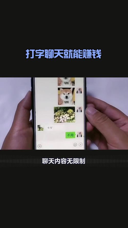 男士陪聊可以赚钱的平台黑色版免墙版