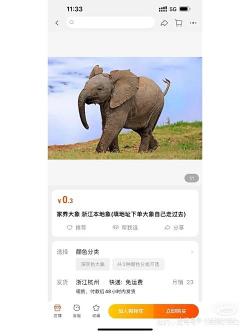 大象交友