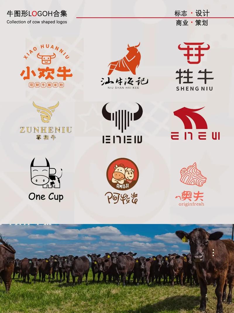 肥牛试玩