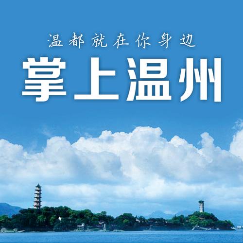 掌上温州app游戏截图