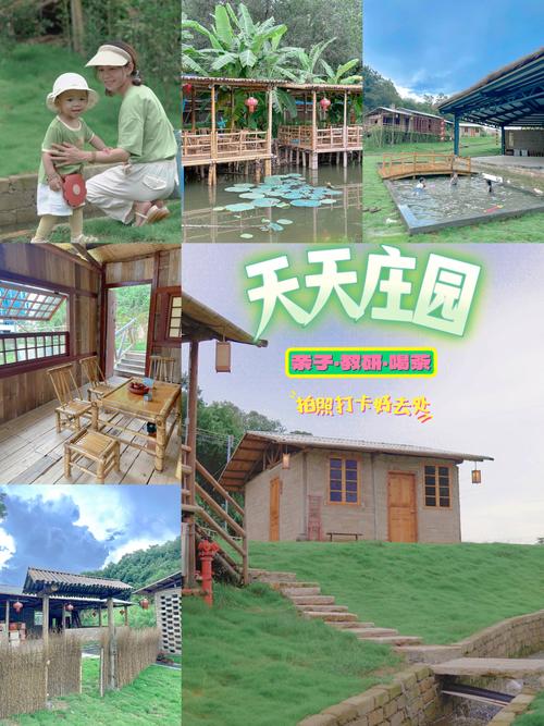 天天庄园最新版游戏截图