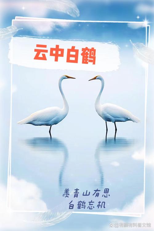 白鹤辅助器手机版