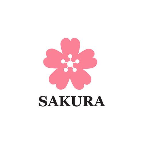 樱花盒子外国人建筑