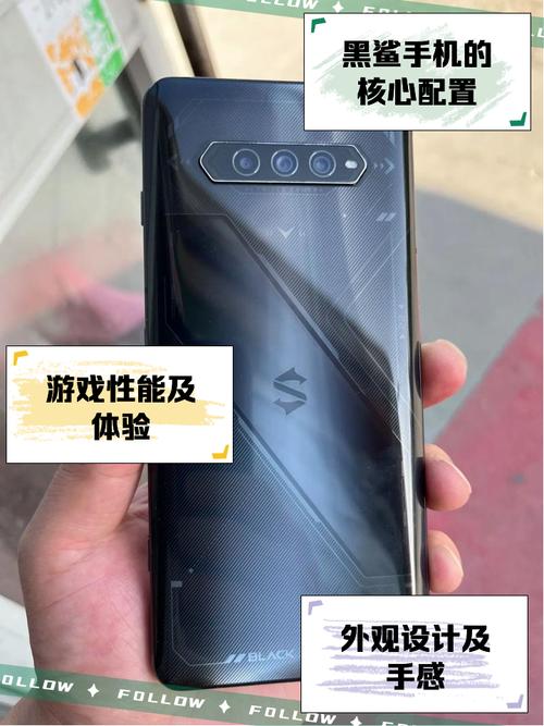 黑鲨阁兼职手机版缩略图