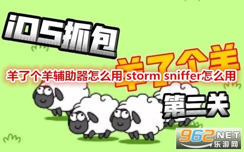 storm sniffer羊了个羊抓包工具
