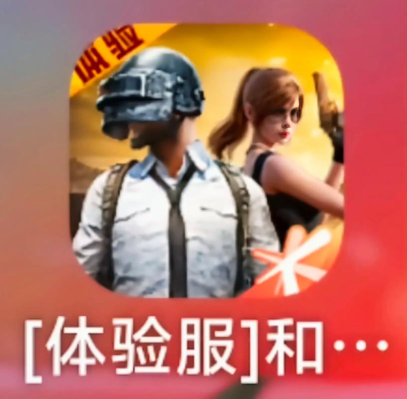 和平精英超维透色助手游戏截图