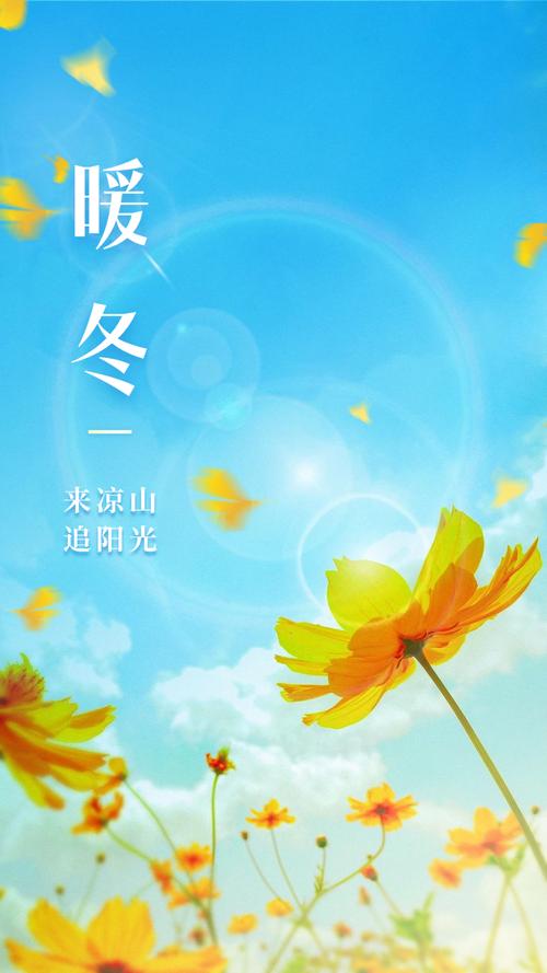初冬暖阳安卓下载图标