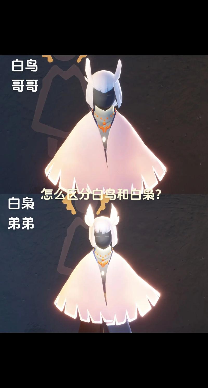 光遇白鸟发型脚本代码游戏截图