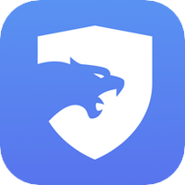猎豹加速器app官网版下载游戏截图