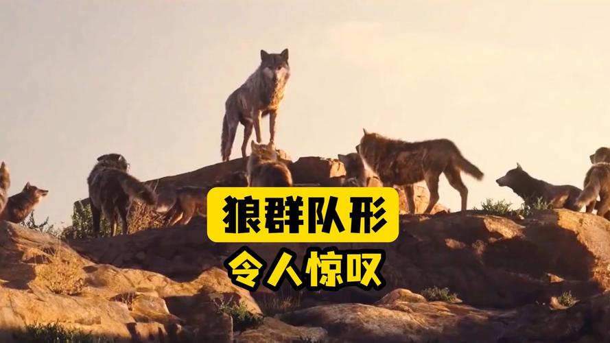 狼群社区视频游戏截图